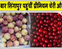 Horticulture News: अब किसानों की बढ़ेगी आय, शोपियां-पुलवामा से पहली बार सिंगापुर पहुंचीं प्रीमियम चेरी और प्लम 
