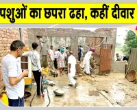 Sirsa News: आसमानी आफत के बीच डेरा सच्चा सौदा के सेवादारों ने पेश की इंसानियत की मिसाल
