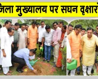 Churu Tree Plantation: डबल इंजन सरकार, कर रही हरियालो राजस्थान का संकल्प साकार