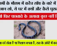 Common krait Snake: कोबरा से भी ज्यादा जानलेवा साबित होता है करैत, रात में सोते समय करता है हमला; शुरुआती लक्षण भी नहीं आते नजर
