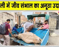 डबवाली डेरा अनुयायियों की जीवों के प्रति प्रेरणादायक मानवता