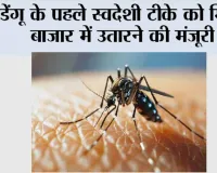 Dengue: डेंगू के पहले स्वदेशी टीके को मिली बाजार में उतारने की मंजूरी