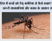 बारिश में बच्चों को डेंगू-मलेरिया से कैसे बचाएं? जानिए जरूरी सावधानियां और बचाव के आसान उपाय