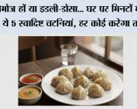 मोमोज हों या इडली-डोसा... घर पर मिनटों में बनाएं ये 5 स्वादिष्ट चटनियां, हर कोई करेगा तारीफ
