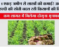 Farming News: 1 एकड़ जमीन से लाखों की कमाई! अदरक-हल्दी की खेती बदल रही किसानों की किस्मत, कम लागत में मिलेगा दोगुना मुनाफा