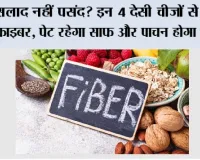 Fiber Rich Foods: सलाद नहीं खाते? इन 4 देसी चीजों से पूरी करें फाइबर की कमी