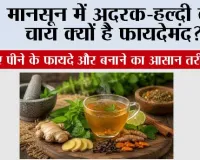 मानसून में अदरक-हल्दी की चाय क्यों है फायदेमंद? जानिए पीने के फायदे और बनाने का आसान तरीका