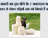 Goat Milk Benefits: बकरी का दूध पीने के 7 जबरदस्त फायदे, पाचन से लेकर हड्डियों तक को मिलते हैं कई लाभ