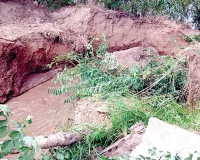 लोहगढ़ माइनर का लिंक चैनल टूटा, 15 एकड़ नरमा जलमग्न