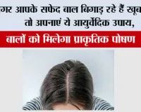Hair Growth Tips: अगर आपके सफेद बाल बिगाड़ रहे हैं खूबसूरती, तो अपनाएं ये आयुर्वेदिक उपाय, बालों को मिलेगा प्राकृतिक पोषण
