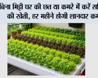 Hydroponic Farming: बिना मिट्टी घर की छत या कमरे में करें सब्जियों की खेती, हर महीने होगी शानदार कमाई