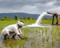 Agriculture News: अल नीनो की संभावना को देखते हुए किसानों से वैज्ञानिक खेती अपनाने की अपील