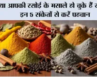 Kitchen Spices: क्या आपकी रसोई के मसाले हो चुके हैं खराब? इन 5 संकेतों से करें पहचान, वरना बढ़ सकता है फूड पॉइजनिंग का खतरा