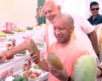 यूपी के आम को मिलेगा वैश्विक बाजार, आम महोत्सव में सीएम योगी ने बताई सरकार की योजना
