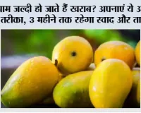 Mango Freezing Tips: आम जल्दी हो जाते हैं खराब? अपनाएं ये आसान तरीका, 3 महीने तक रहेगा स्वाद और ताजगी