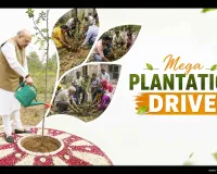 Mission 70 Lakh Plantation: दिल्ली में 'मिशन 70 लाख पौधारोपण' शुरू, सीएम रेखा गुप्ता 300 नई इलेक्ट्रिक बसों को दिखाएंगी हरी झंडी