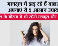Monsoon Hair Care Tips: मानसून में झड़ रहे हैं बाल? अपनाएं ये 5 आसान उपाय, बारिश के मौसम में भी रहेंगे मजबूत और हेल्दी