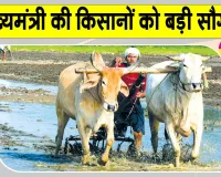 MP Government Scheme: किसानों के खातों में 3,300 करोड़ ट्रांसफर, मुख्यमंत्री की बड़ी सौगात