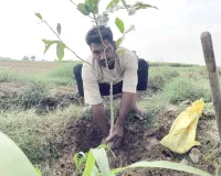 एक साथ छूटा पत्नी और नवजात का साथ, यादों को संजोने के लिए लगाया फलदार पौधा