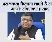 अराजकता फैलाना चाहते हैं राहुल गांधी: रविशंकर प्रसाद