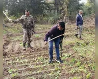 Illegal Opium Farming: अफीम की खेती मामले में 77 मामले दर्ज, 48 आरोपी गिरफ्तार