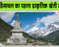 पांगी बना हिमाचल का पहला प्राकृतिक खेती मॉडल उपमंडल, सरकार ने बताया सतत विकास की मिसाल