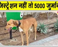 Pet Dog-Cat Registration: ख़बरदार! कुत्तों-बिल्लियों का रजिस्ट्रेशन नहीं कराया तो लगेगा 5 हजार जुर्माना