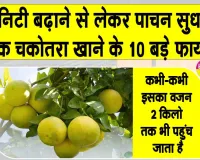 Pomelo Benefits: जितना बड़ा फल, उतने बड़े फायदे,  खट्टे फलों का बादशाह चकोतरा