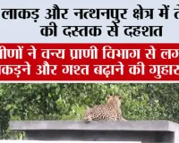 Leopard: लाकड़ और नत्थनपुर क्षेत्र में तेंदुए की दस्तक से दहशत, ग्रामीणों ने वन्य प्राणी विभाग से लगाई पकड़ने और गश्त बढ़ाने की गुहार