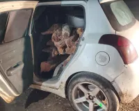 अवैध खैर की लकड़ी से भरी कार पकड़ाई, तस्कर फरार