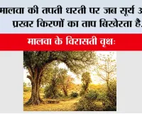 मालवा की तपती धरती पर जब सूर्य अपनी प्रखर किरणों का ताप बिखेरता है...