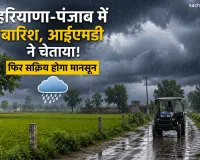 Haryana-Punjab Rain Today: हरियाणा-पंजाब में बारिश, आईएमडी ने चेताया! फिर सक्रिय होगा मानसून