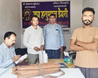 जांच अभियान के तहत चार सैंपल लिए, बीकानेर लैब भेजे 