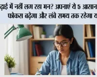 Study Tips: पढ़ाई में नहीं लग रहा मन? अपनाएं ये 5 आसान तरीके, फोकस बढ़ेगा और लंबे समय तक रहेगा याद