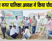 Bulandshahr News: नगर पालिका अध्यक्ष ने सदस्यों के साथ किया पौधारोपण