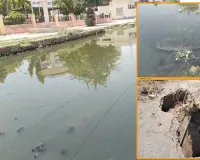 Hanumangarh News: डेढ़-दो साल से सीवर लीकेज बनी मुसीबत, अपनी वाटिका पार्क के पास गंदे पानी की 'झील से लोग बेहाल