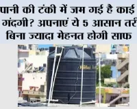 Water Tank Cleaning: पानी की टंकी में जम गई है काई और गंदगी? अपनाएं ये 5 आसान तरीके, बिना ज्यादा मेहनत होगी साफ