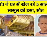 Snake News: घर में खेल रहे पांच वर्षीय मासूम को सांप ने डसा, अस्पताल पहुंचने से पहले मौत