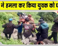 Bear Attack: बगीचे में पहुंचा अचानक भालू, युवक की चीख-पुकार सुन मौके पर पहुंचे ग्रामीण