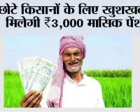 Farmer Pension Scheme: छोटे किसानों के लिए खुशखबरी! मिलेगी ₹3,000 मासिक पेंशन