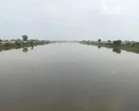 Ghaggar News: घग्घर में फिर आया पानी, धान उत्पादक किसानों के चेहरे खिले 