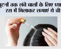 Hair Care: घुटनों तक लंबे बालों के लिए प्याज के रस में मिलाकर लगाएं ये चीजें