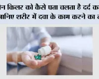 पेन किलर को कैसे पता चलता है दर्द कहां है? जानिए शरीर में दवा के काम करने का तरीका