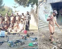 Cleanliness Campaign: रोम की साध-संगत ने चलाया सफाई अभियान 