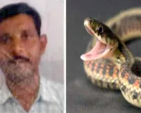 Snake Bite News: खेत पर गए जगनपुर के किसान की सर्पदंश से मौत, कोहराम