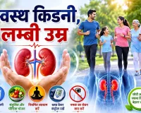 Kidney Health Tips: किडनी के स्वास्थ्य के लिए छोटी लापरवाही बन सकती है बड़ी बीमारी की वजह