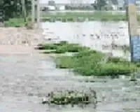 Markanda River: मारकंडा नदी का जलस्तर बढ़ने से गांव कठवा में घुसा पानी 