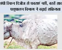 लंपी स्किन डिजीज से घबराएं नहीं, बरतें सावधानी; पशुपालन विभाग ने बढ़ाई सक्रियता