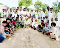 मसीतां ब्लॉक की साध-संगत ने पावन एमएसजी अवतार दिवस की खुशी में  रोपे पौधे  