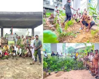 Tree Plantation: डेरा सच्चा सौदा मेरठ जिले की साध संगत द्वारा व्यापक पौधारोपण अभियान